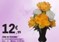 E.Leclerc Cône de pivoines offre