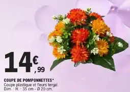 E.Leclerc Coupe de pomponnettes offre