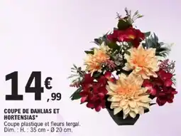 E.Leclerc Coupe de dahlias et hortensias offre