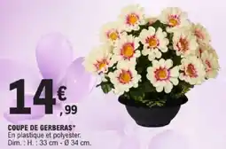 E.Leclerc Coupe de gerberas offre