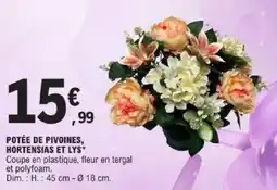 E.Leclerc Potée de pivoines hortensias et lys offre