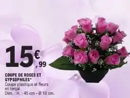 E.Leclerc Coupe de roses et gypsophiles offre