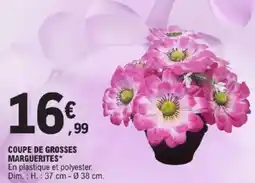 E.Leclerc Coupe de grosses marguerites offre