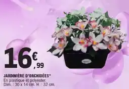E.Leclerc Jardinière d'orchidées offre