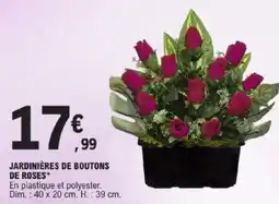 E.Leclerc Jardinières de boutons de roses offre