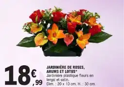 E.Leclerc Jardinière de roses, arums et lotus offre