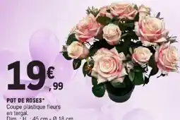 E.Leclerc Pot de roses offre