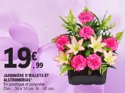 E.Leclerc Jardinière d'œillets et alstromerias offre