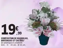 E.Leclerc Composition de magnolias, hortensias et cactées offre