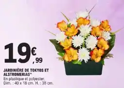 E.Leclerc Jardinière de tokyos et alstromerias offre