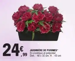 E.Leclerc Jardinière de pivoines offre