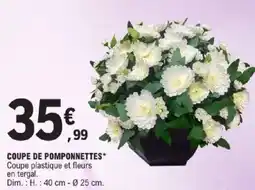 E.Leclerc Coupe de pomponnettes offre
