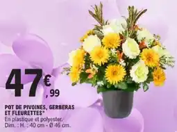 E.Leclerc Pot de pivoines, gerberas et fleurettes offre