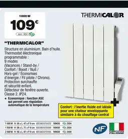 Brico Dépôt THERMICAL OR offre