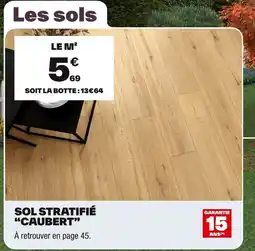 Brico Dépôt Sol stratifié "caubert" offre