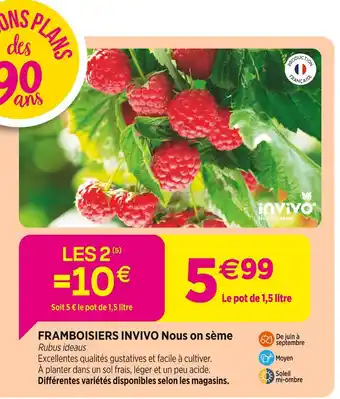 Delbard INVIVO Nous on sème FRAMBOISIERS INVIVO Nous on sème offre