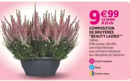 Delbard Composition de bruyères Beauty Ladies offre