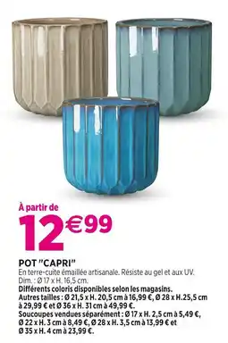 Delbard POT CAPRI offre