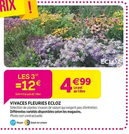 Delbard ECLOZ Vivaces Fleuries ECLOZ offre