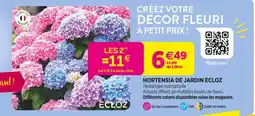 Delbard ECLOZ Hortensia de jardin ECLOZ offre