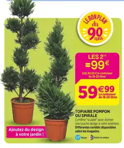 Delbard TOPIAIRE POMPON OU SPIRALE offre