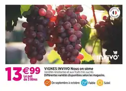 Delbard INVIVO Nous on sème VIGNES INVIVO Nous on sème offre