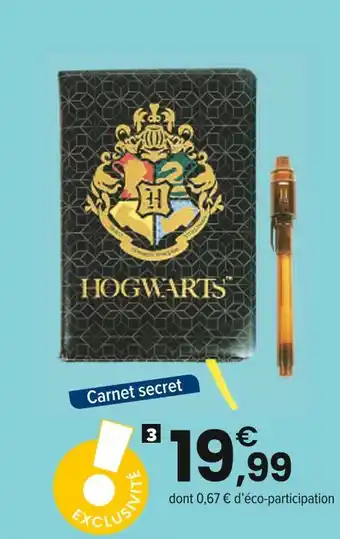 CARNET SECRET HARRY POTTER