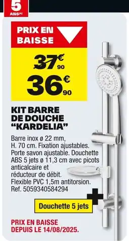 Brico Dépôt Kit barre de douche "kardelia" offre