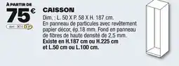 Brico Dépôt Caisson offre