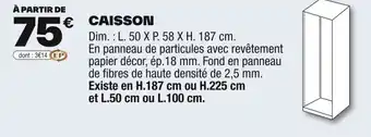Brico Dépôt Caisson offre