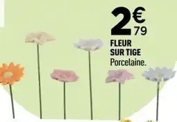 Centrakor Fleur sur tige offre