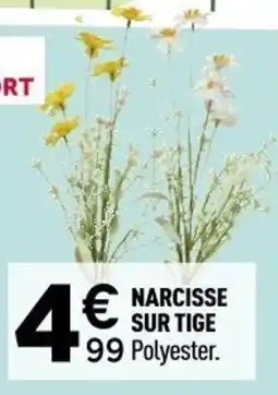 Centrakor Narcisse sur tige offre