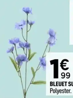 Centrakor Bleuet sur tige offre