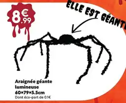 Maxi Bazar Araignée géante lumineuse 60×79×5.5cm offre