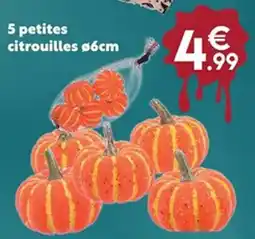 Maxi Bazar 5 petites citrouilles ø6cm offre