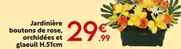 Maxi Bazar Jardinière boutons de rose, orchidées et glaeuil offre