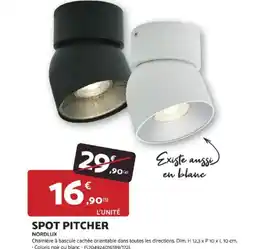 Bricomarché Spot pitcher offre