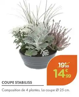 Point Vert Coupe stabiliss offre