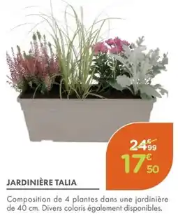 Point Vert Jardinière talia offre