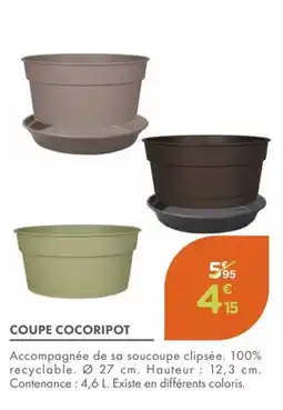 Point Vert Coupe cocoripot offre
