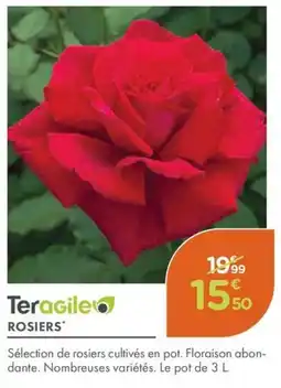 Point Vert TERAGILE Rosiers offre
