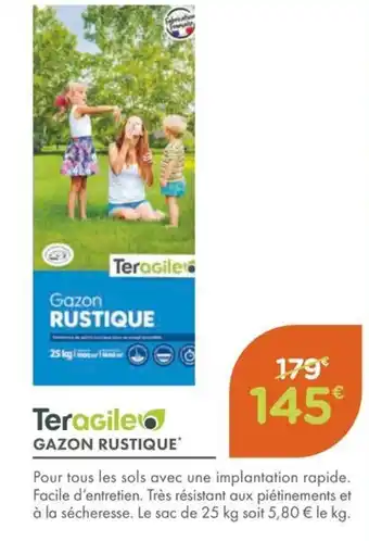 Point Vert TERAGILE Gazon rustique offre