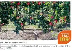 Point Vert Pommier ou poirier double u offre