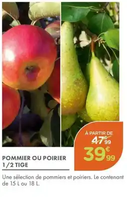 Point Vert Pommier ou poirier 1/2 tige offre