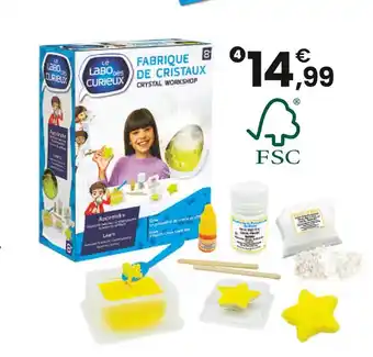 JouéClub LE LABO DES CURIEUX Fabrique tes cristaux | 8 ans offre