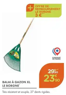 Point Vert Balai à gazon xl le borgne offre