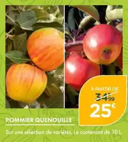 Point Vert Pommier quenouille offre
