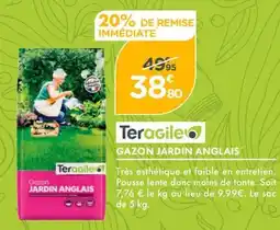 Point Vert TERAGILE Gazon jardin anglais offre
