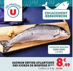 Bi1 Saumon entier atlantique des fjords de norvege offre