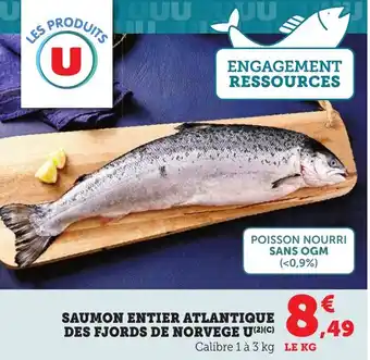 Saumon entier atlantique des fjords de norvege